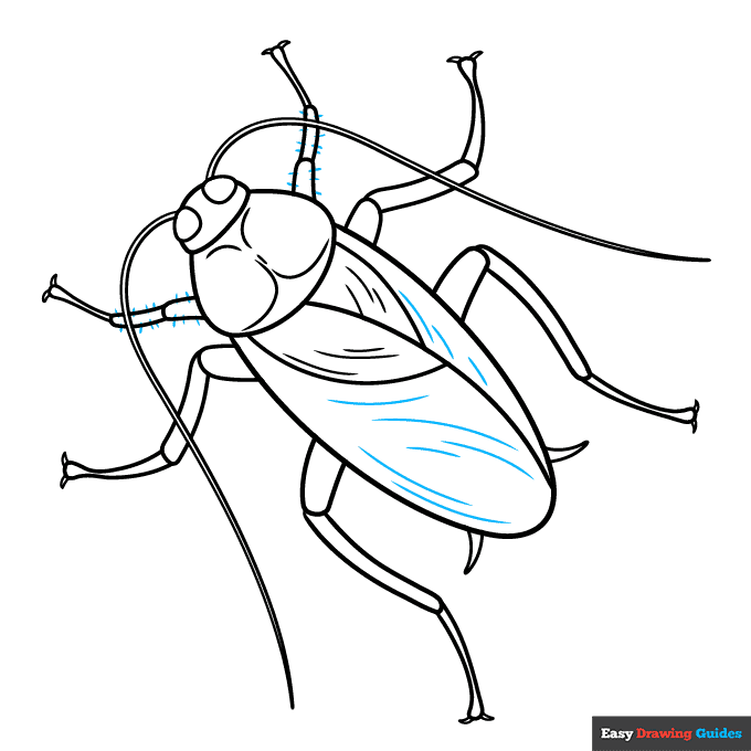 Cockroach step-by-step drawing tutorial: step 8