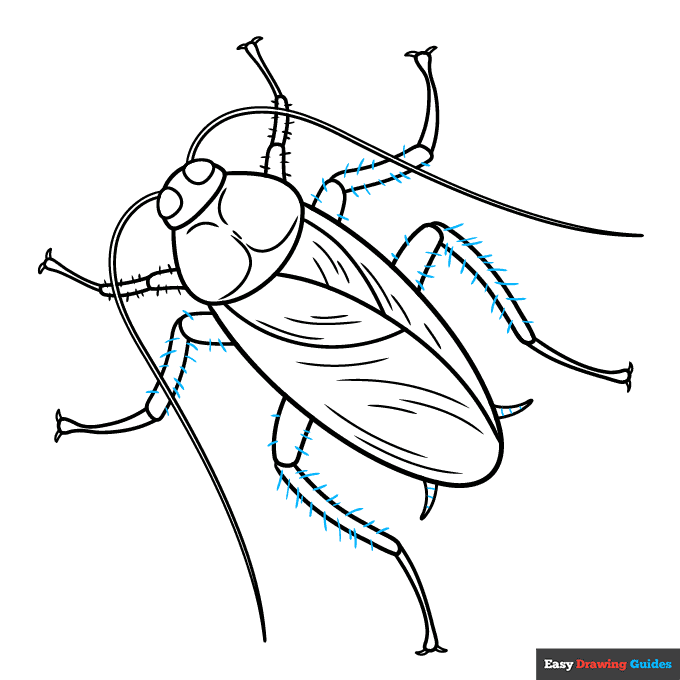 Cockroach step-by-step drawing tutorial: step 9