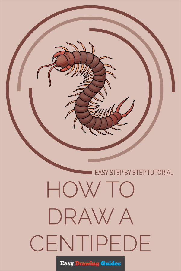How to Draw a Centipede Pinterest Image