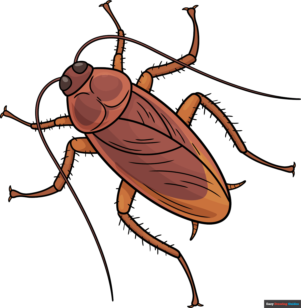 How to Draw a Cockroach Featured Image