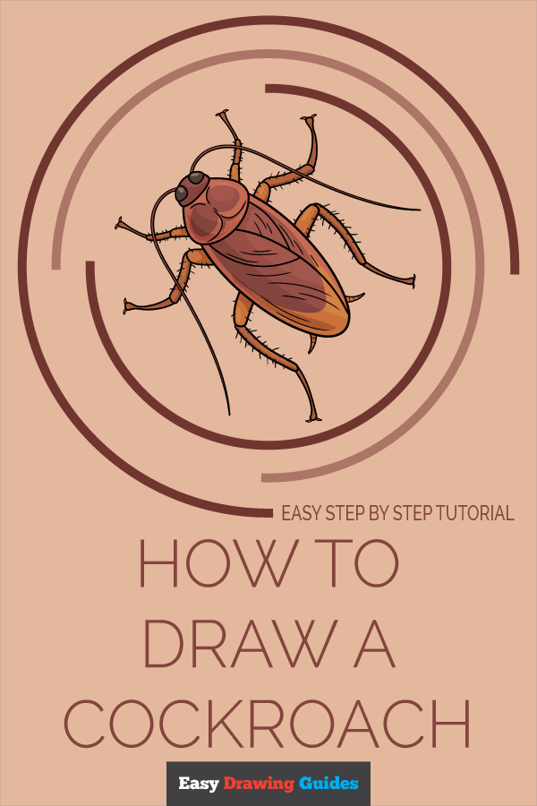 How to Draw a Cockroach Pinterest Image