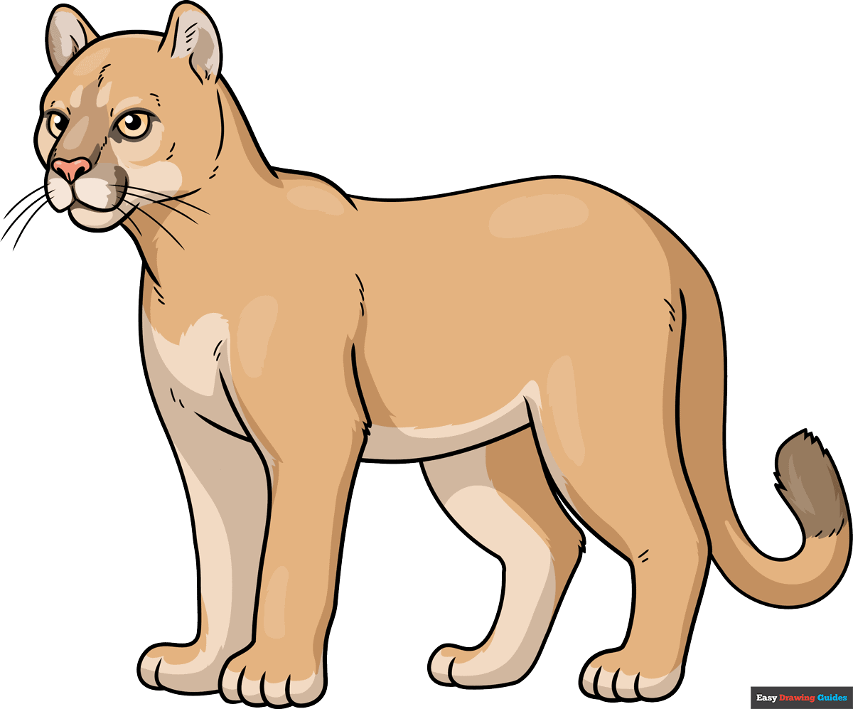 How to Draw a Cougar Featured Image