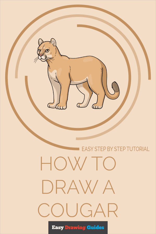 How to Draw a Cougar Pinterest Image