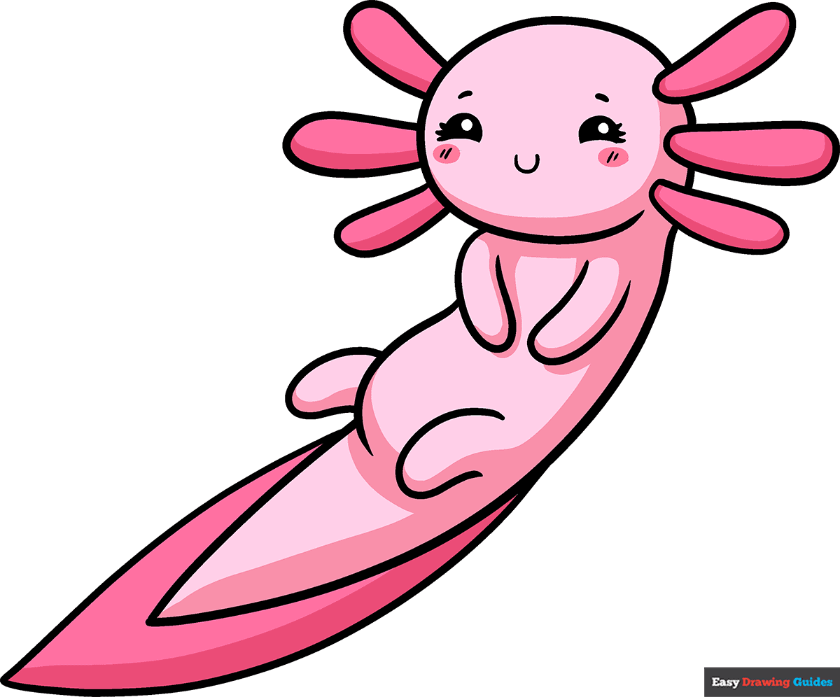 How to Draw a Cute Axolotl Featured Image