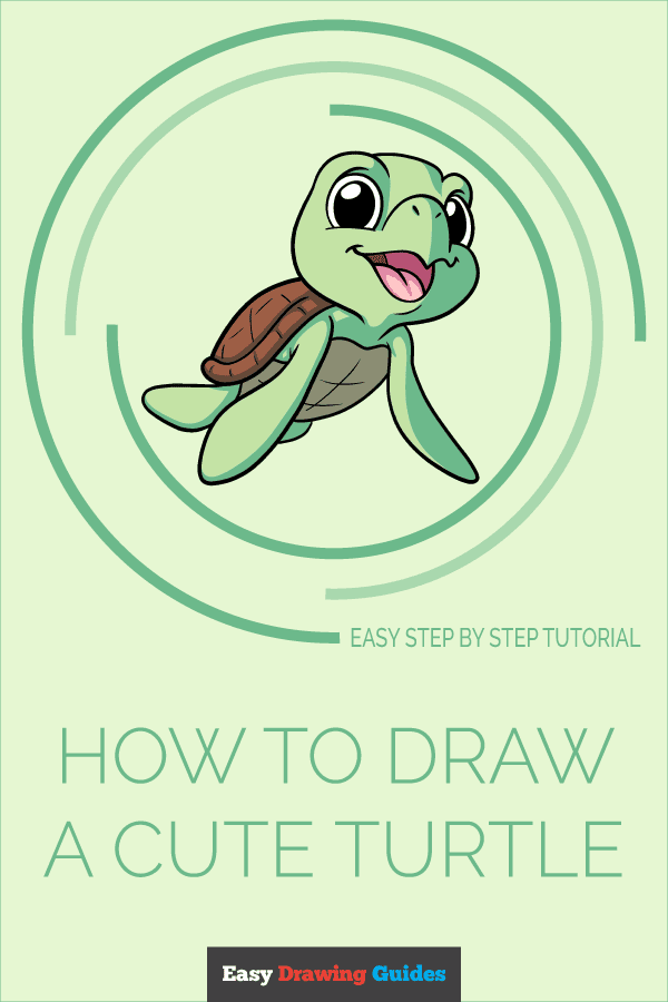 How to Draw a Cute Turtle Step by Step Tutorial Image