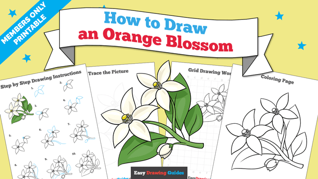 How to Draw an Orange Blossom Printable Thumbnail