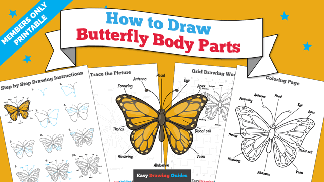 How to Draw Butterfly Body Parts Printable Thumbnail