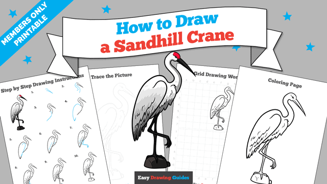 How to Draw a Sandhill Crane Printable Thumbnail
