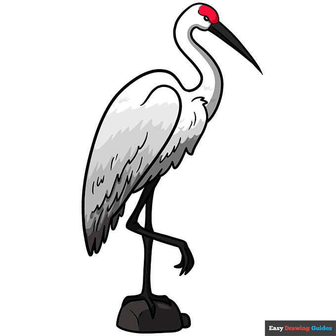 Sandhill Crane step-by-step drawing tutorial: step 11