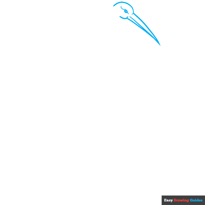 Sandhill Crane step-by-step drawing tutorial: step 1