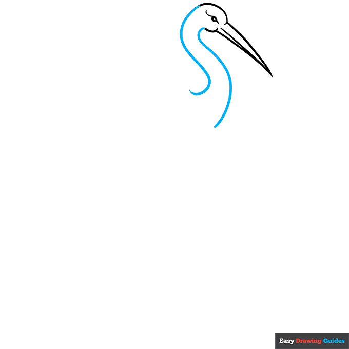 Sandhill Crane step-by-step drawing tutorial: step 2