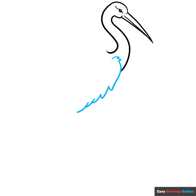 Sandhill Crane step-by-step drawing tutorial: step 3