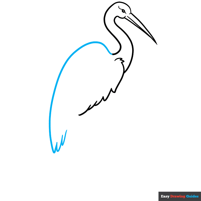 Sandhill Crane step-by-step drawing tutorial: step 4
