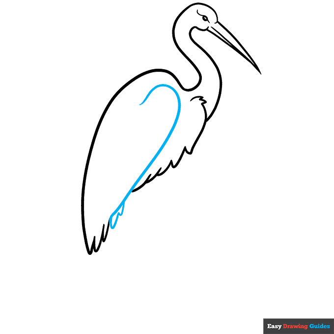 Sandhill Crane step-by-step drawing tutorial: step 5