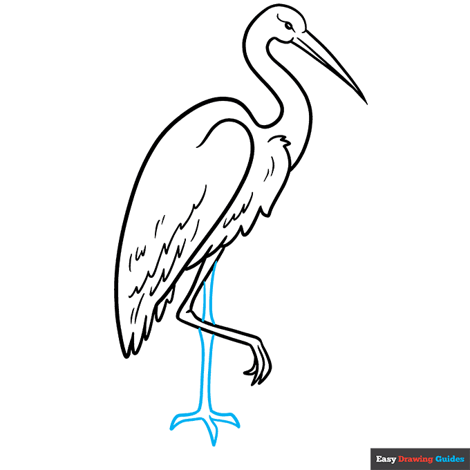 Sandhill Crane step-by-step drawing tutorial: step 8