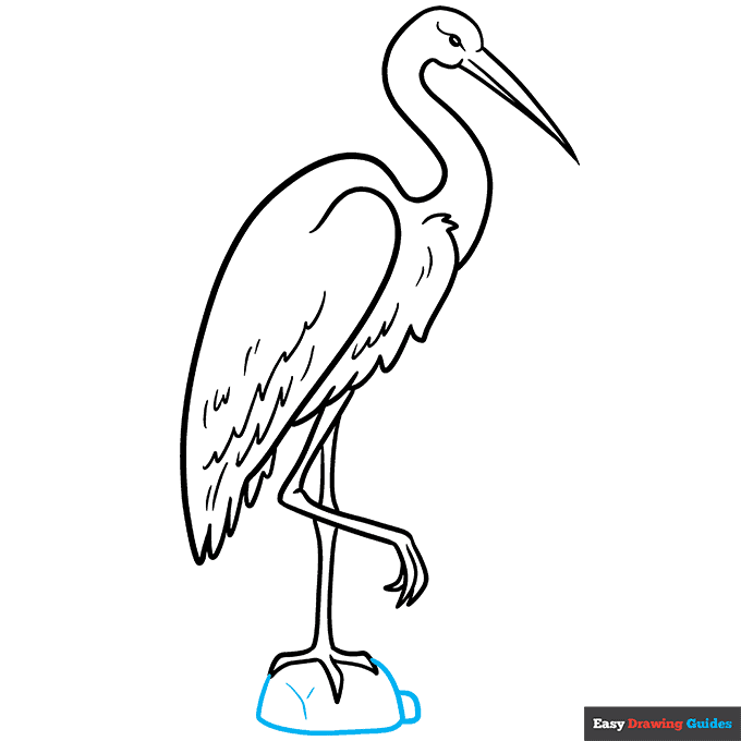 Sandhill Crane step-by-step drawing tutorial: step 9