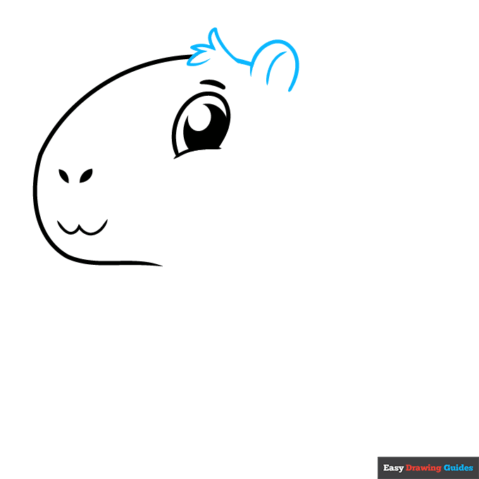Cute Capybara step-by-step drawing tutorial: step 3