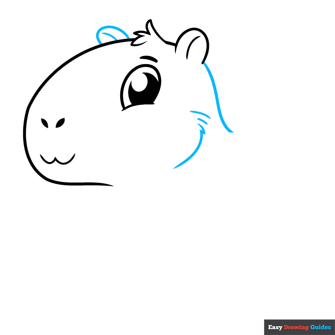Cute Capybara step-by-step drawing tutorial: step 4
