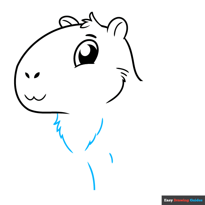 Cute Capybara step-by-step drawing tutorial: step 5