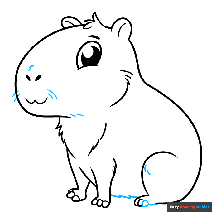 Cute Capybara step-by-step drawing tutorial: step 9