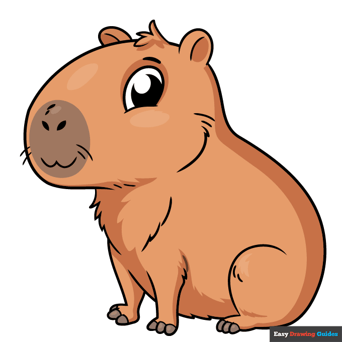 Cute Capybara step-by-step drawing tutorial: step 11