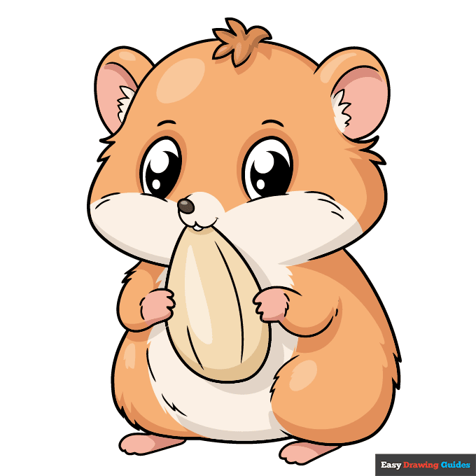 Cute Hamster step-by-step drawing tutorial: step 11