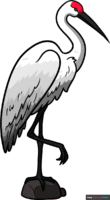 How to Draw a Sandhill Crane