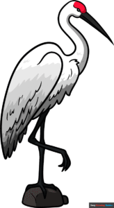 How to Draw a Sandhill Crane Featured Image
