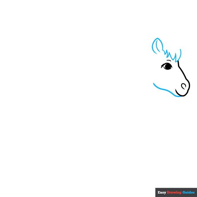 Realistic Pony step-by-step drawing tutorial: step 2