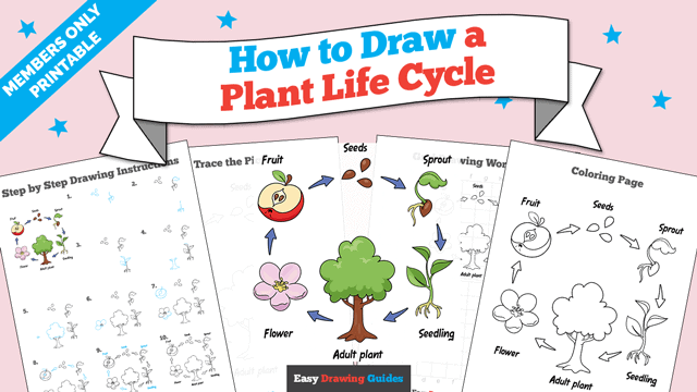 How to Draw a Plant Life Cycle Printable Thumbnail
