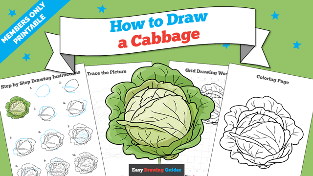 How to Draw a Cabbage Printable Thumbnail