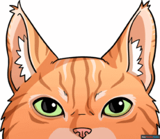 How to Draw Cat Ears