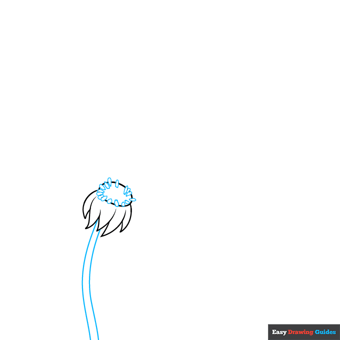 Dandelion Puff step-by-step drawing tutorial: step 2