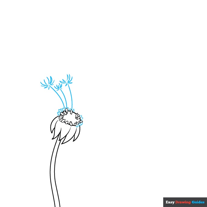 Dandelion Puff step-by-step drawing tutorial: step 3