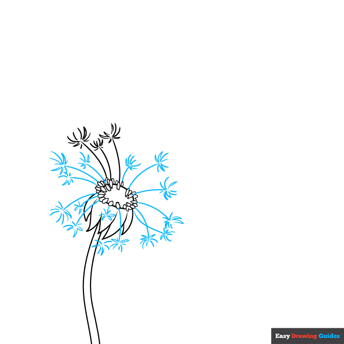 Dandelion Puff step-by-step drawing tutorial: step 4