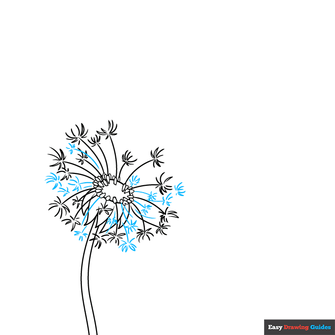 Dandelion Puff step-by-step drawing tutorial: step 5