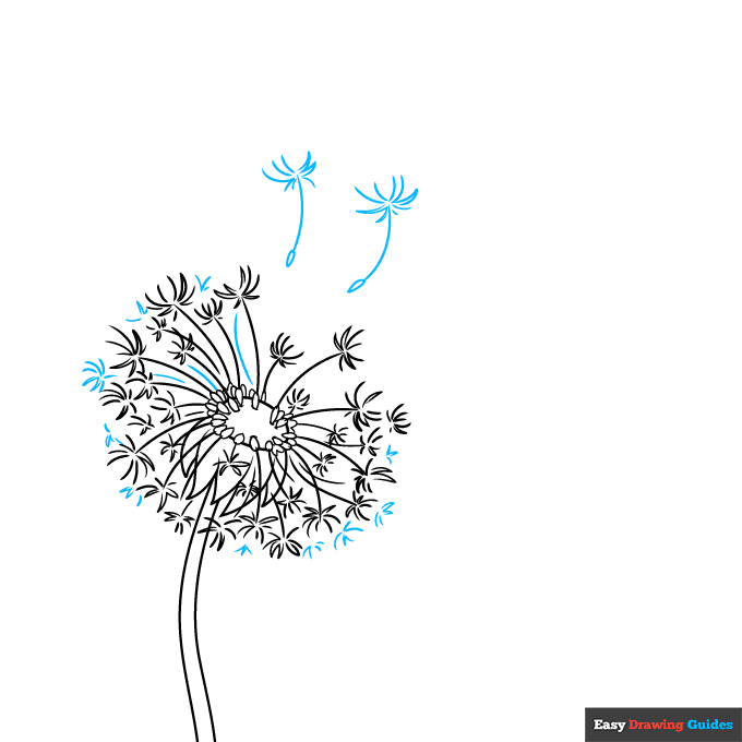 Dandelion Puff step-by-step drawing tutorial: step 6