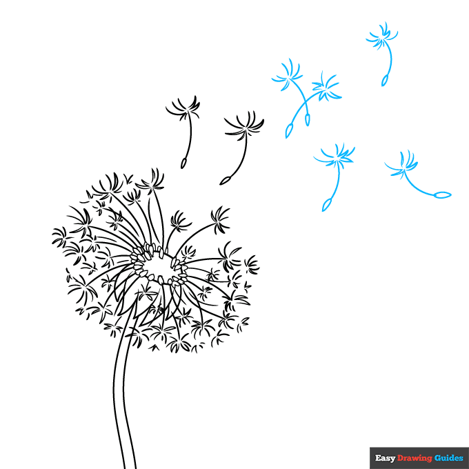 Dandelion Puff step-by-step drawing tutorial: step 7