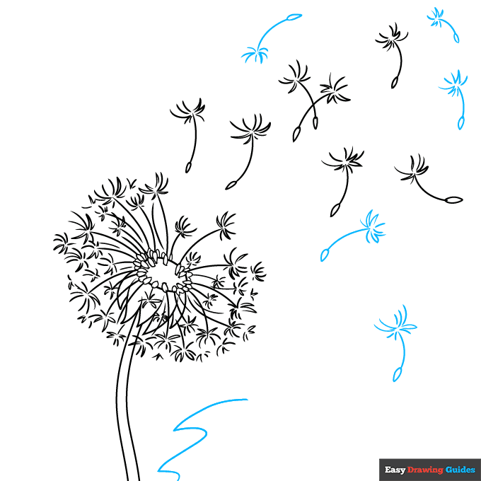 Dandelion Puff step-by-step drawing tutorial: step 8