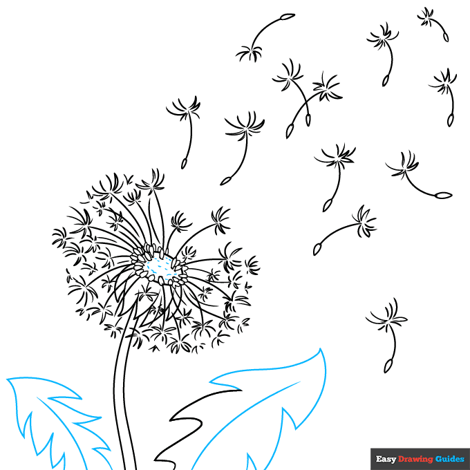 Dandelion Puff step-by-step drawing tutorial: step 9