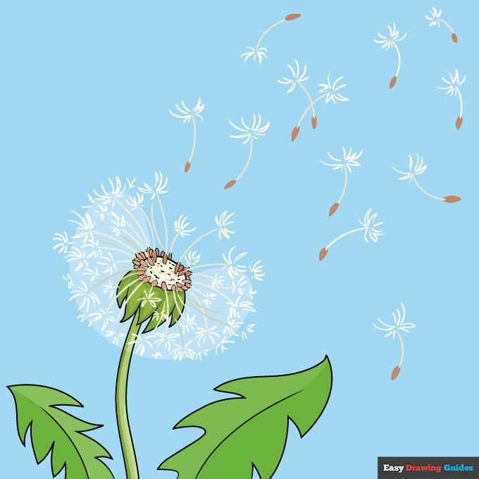 Dandelion Puff step-by-step drawing tutorial: step 10