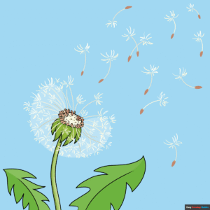 How to Draw a Dandelion Puff Featured Image