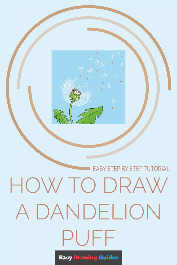How to Draw a Dandelion Puff Pinterest Image