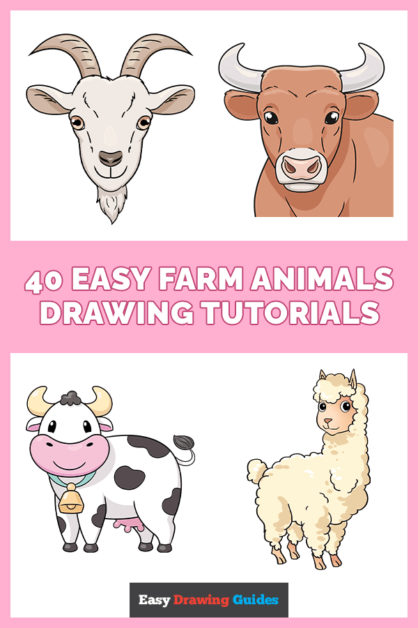 40 Easy Farm Animals Drawing Tutorials Pinterest Image