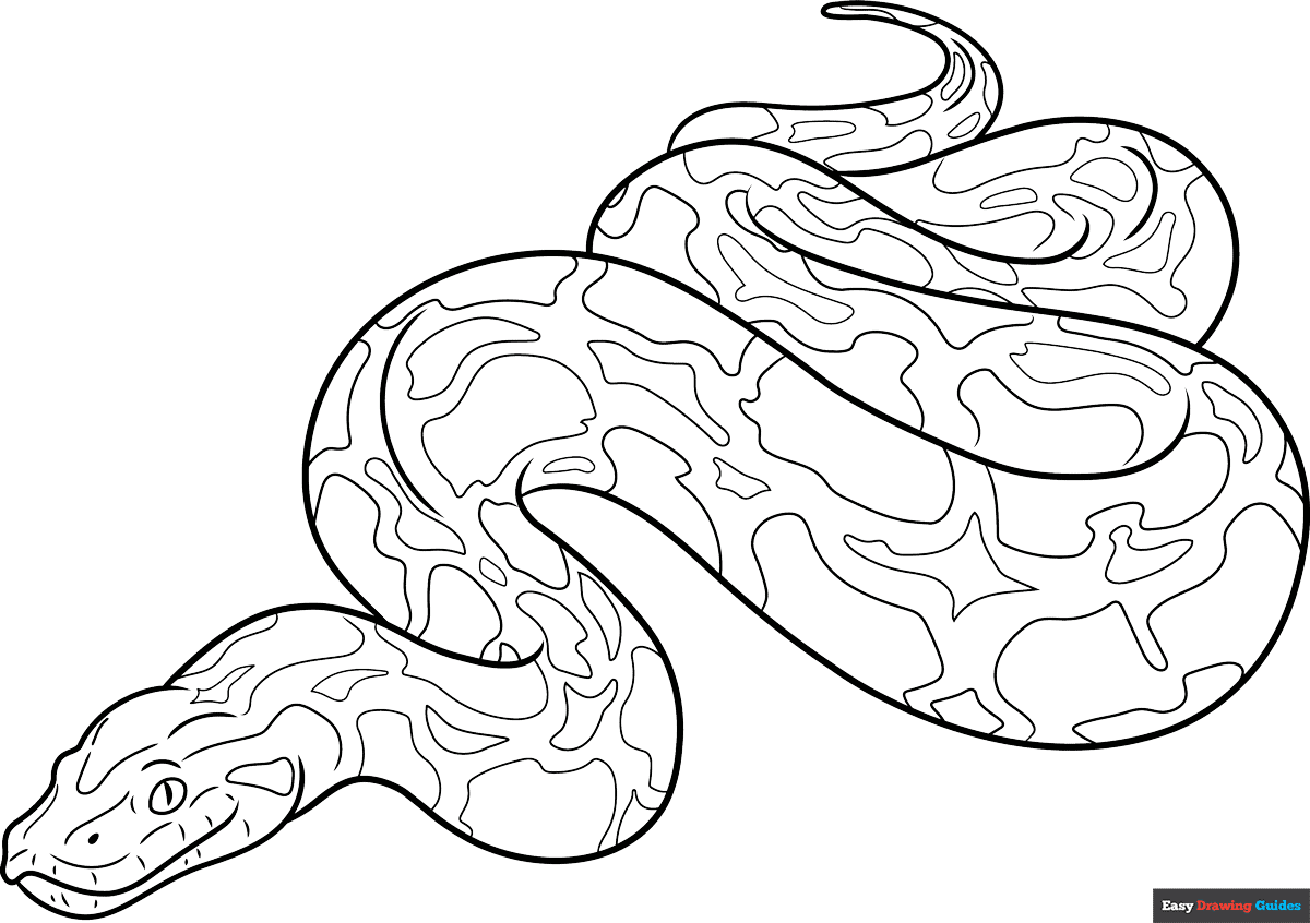 Free printable burmese python coloring page