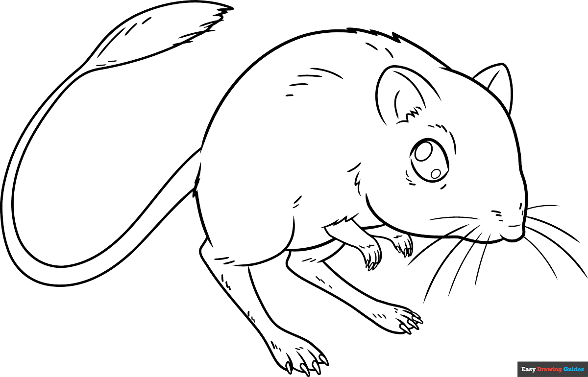Free printable kangaroo rat coloring page