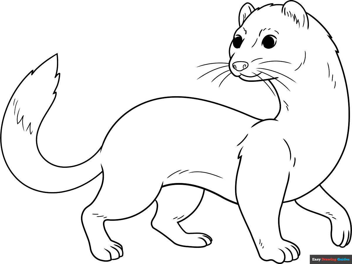 Free printable weasel coloring page
